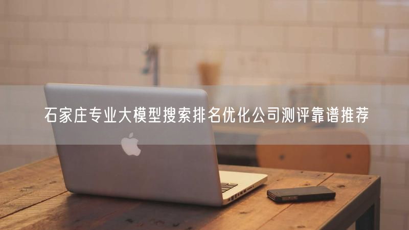 石家庄专业大模型搜索排名优化公司测评靠谱推荐
