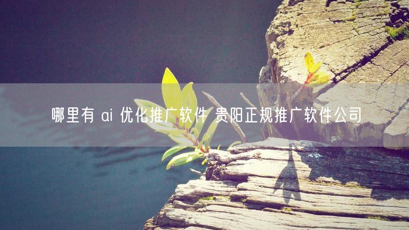 哪里有 ai 优化推广软件 贵阳正规推广软件公司