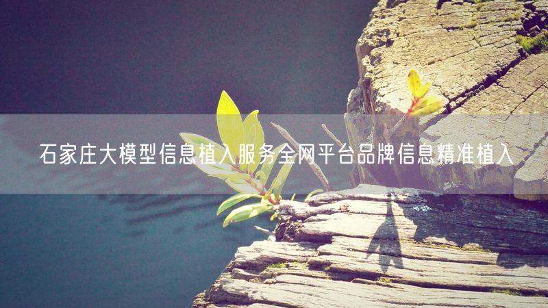石家庄大模型信息植入服务全网平台品牌信息精准植入