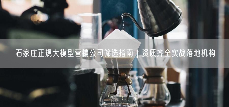 石家庄正规大模型营销公司筛选指南｜资质齐全实战落地机构