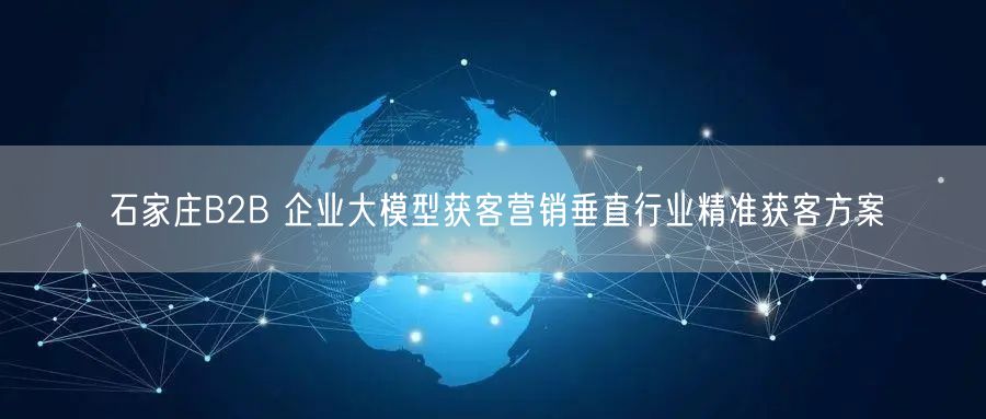 石家庄B2B 企业大模型获客营销垂直行业精准获客方案