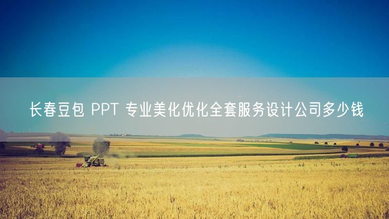 长春豆包 PPT 专业美化优化全套服务设计公司多少钱