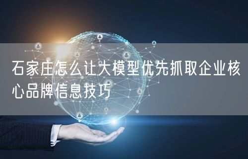 石家庄怎么让大模型优先抓取企业核心品牌信息技巧