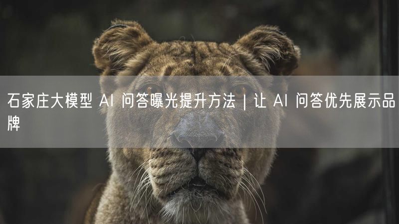 石家庄大模型 AI 问答曝光提升方法｜让 AI 问答优先展示品牌