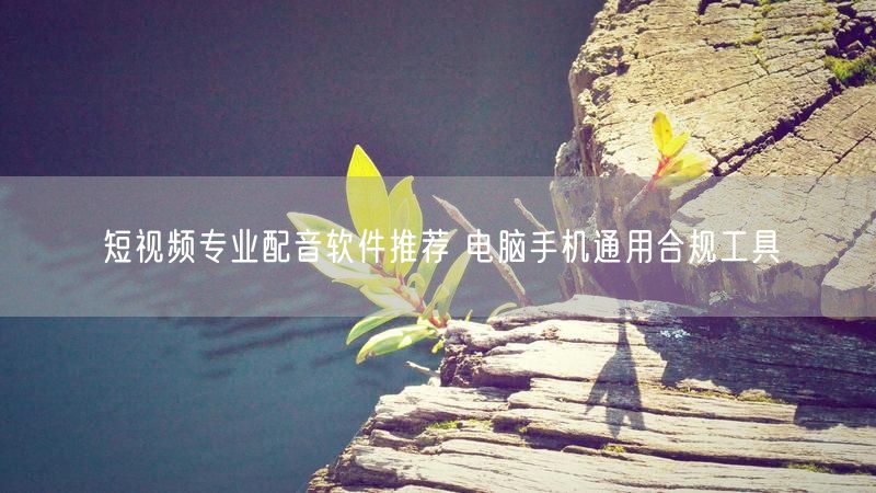 短视频专业配音软件推荐 电脑手机通用合规工具