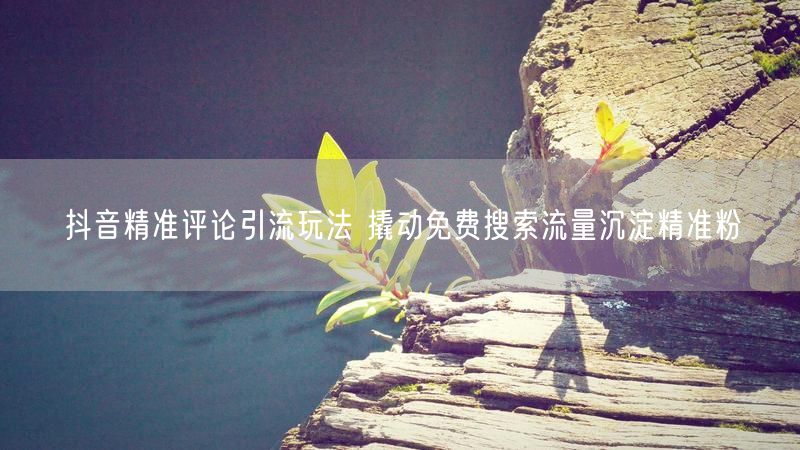 抖音精准评论引流玩法 撬动免费搜索流量沉淀精准粉
