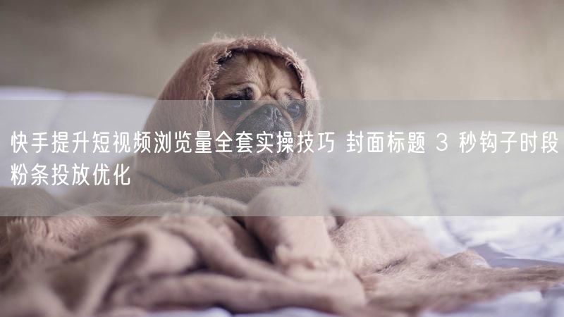 快手提升短视频浏览量全套实操技巧 封面标题 3 秒钩子时段粉条投放优化
