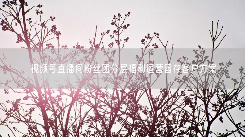 视频号直播间粉丝团分层福利运营留存客户方案