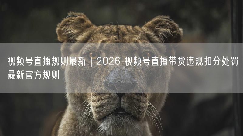 视频号直播规则最新｜2026 视频号直播带货违规扣分处罚最新官方规则