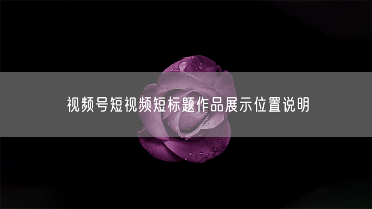 视频号短视频短标题作品展示位置说明