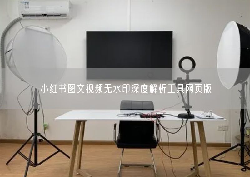 小红书图文视频无水印深度解析工具网页版