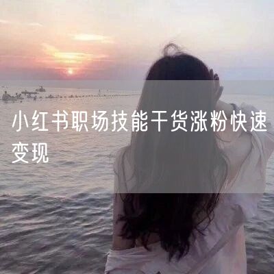 小红书职场技能干货涨粉快速变现