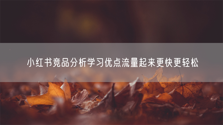 小红书竞品分析学习优点流量起来更快更轻松