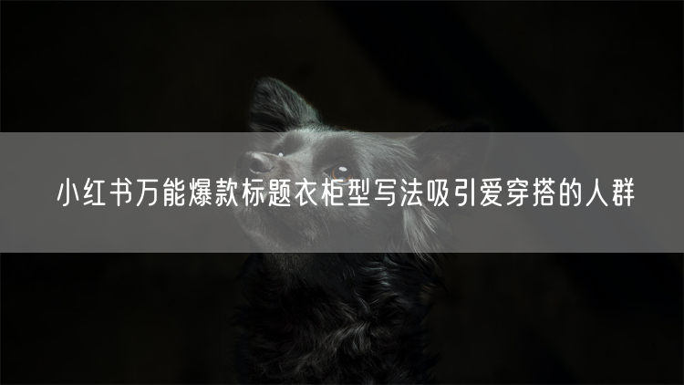 小红书万能爆款标题衣柜型写法吸引爱穿搭的人群