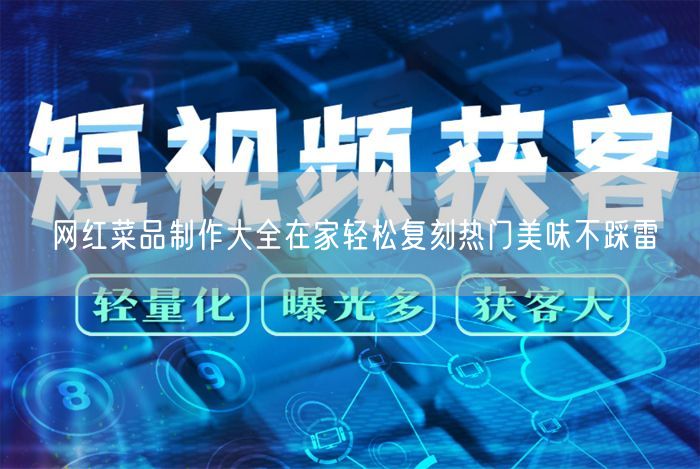 网红菜品制作大全在家轻松复刻热门美味不踩雷