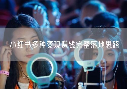 小红书多种变现赚钱完整落地思路