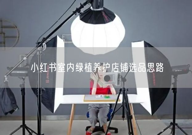小红书室内绿植养护店铺选品思路
