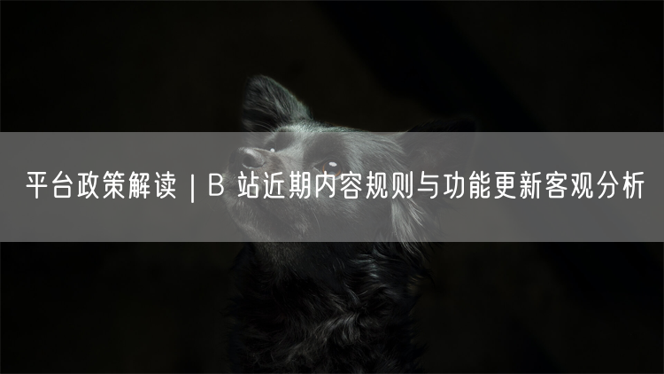 平台政策解读｜B 站近期内容规则与功能更新客观分析
