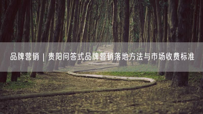 品牌营销｜贵阳问答式品牌营销落地方法与市场收费标准
