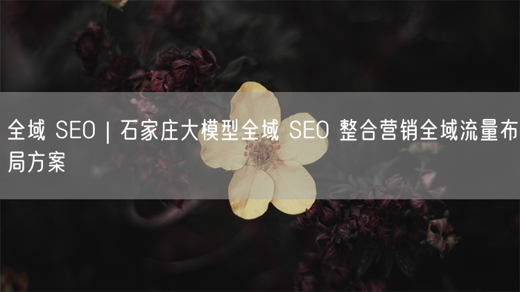 全域 SEO｜石家庄大模型全域 SEO 整合营销全域流量布局方案