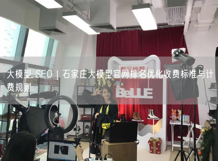大模型 SEO｜石家庄大模型官网排名优化收费标准与计费规则