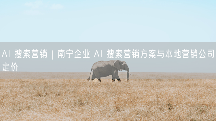 AI 搜索营销|南宁企业 AI 搜索营销方案与本地营销公司定价