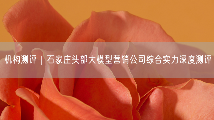 机构测评｜石家庄头部大模型营销公司综合实力深度测评