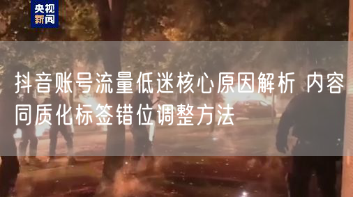 抖音账号流量低迷核心原因解析 内容同质化标签错位调整方法