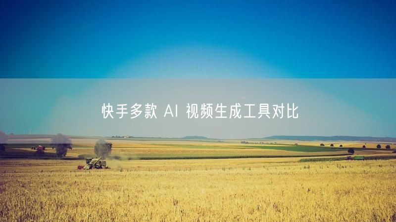 快手多款 AI 视频生成工具对比