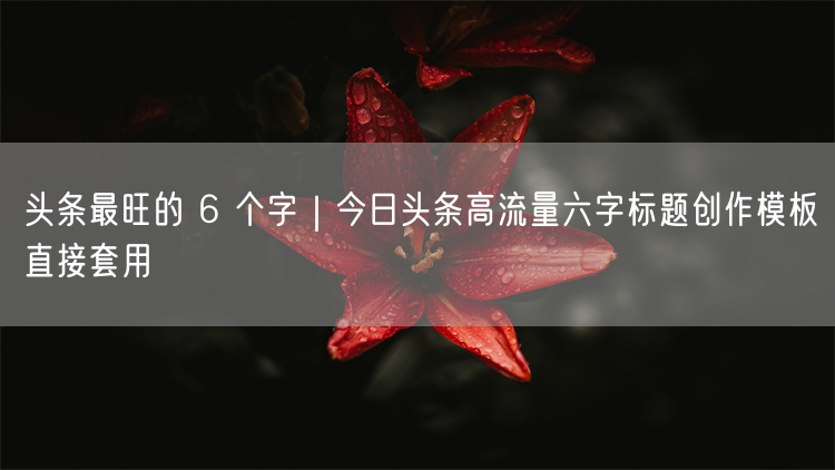 头条最旺的 6 个字｜今日头条高流量六字标题创作模板直接套用