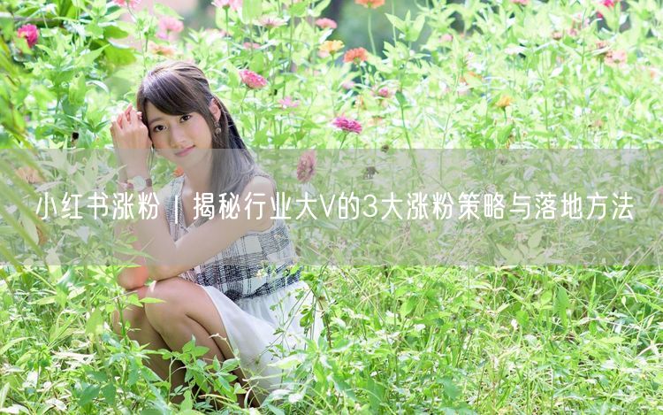 小红书涨粉｜揭秘行业大V的3大涨粉策略与落地方法
