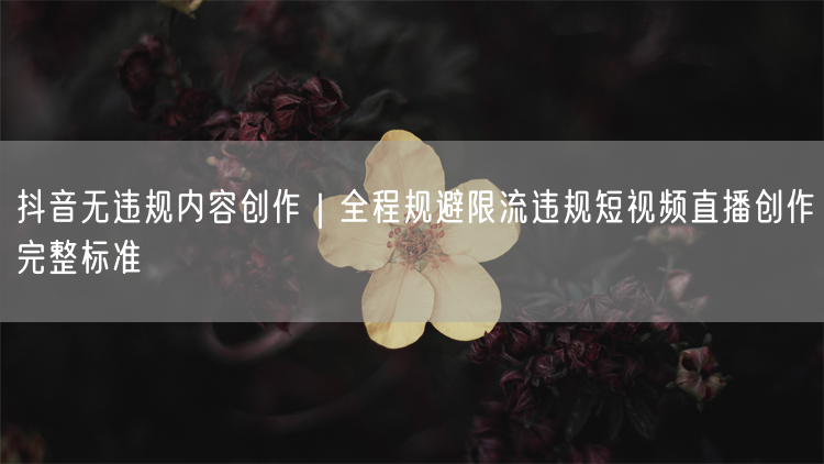 抖音无违规内容创作｜全程规避限流违规短视频直播创作完整标准