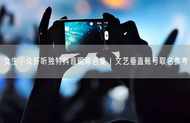 女生小众好听独特抖音昵称合集｜文艺垂直账号取名参考