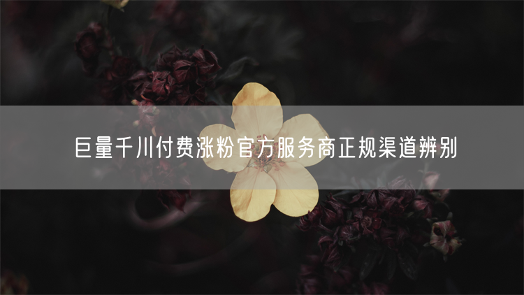 巨量千川付费涨粉官方服务商正规渠道辨别