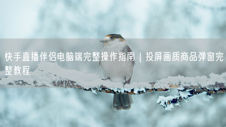 快手直播伴侣电脑端完整操作指南｜投屏画质商品弹窗完整教程