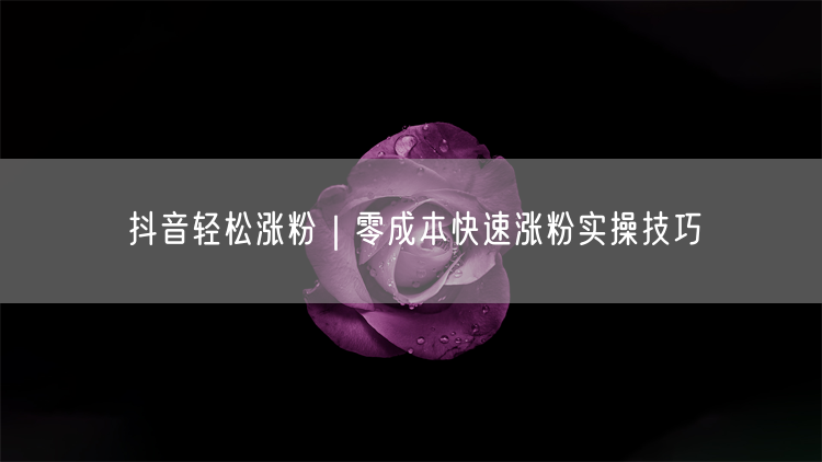 抖音轻松涨粉｜零成本快速涨粉实操技巧