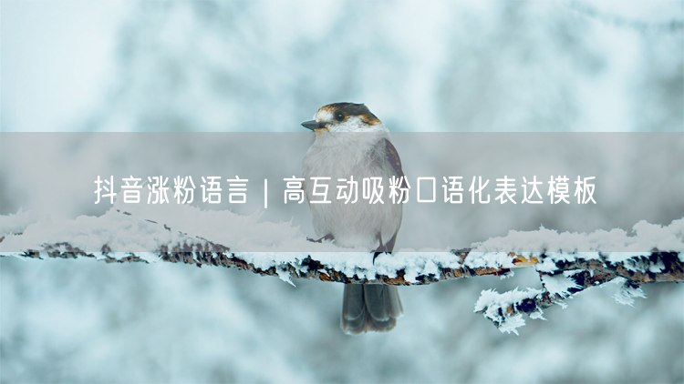 抖音涨粉语言｜高互动吸粉口语化表达模板