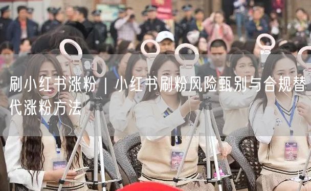刷小红书涨粉|小红书刷粉风险甄别与合规替代涨粉方法