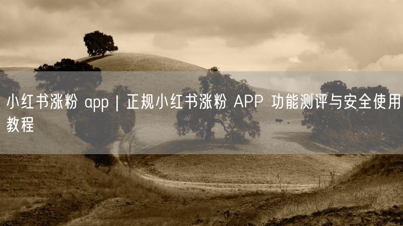 小红书涨粉 app|正规小红书涨粉 APP 功能测评与安全使用教程