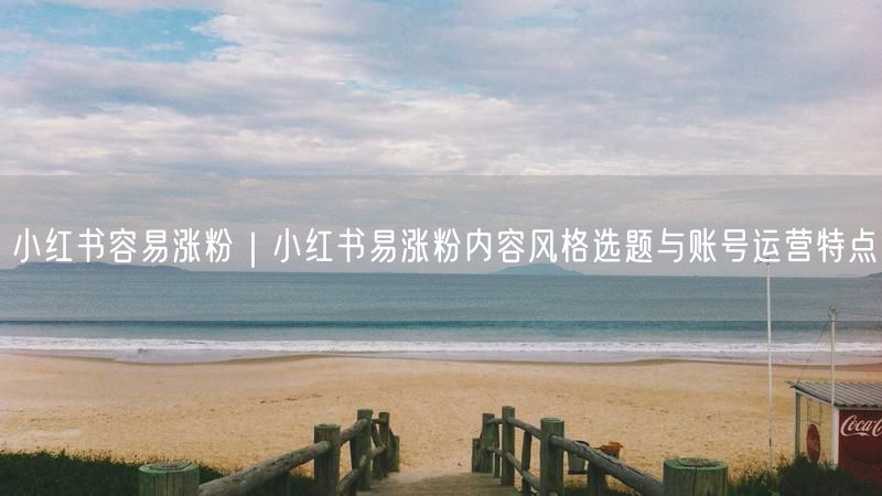 小红书容易涨粉｜小红书易涨粉内容风格选题与账号运营特点