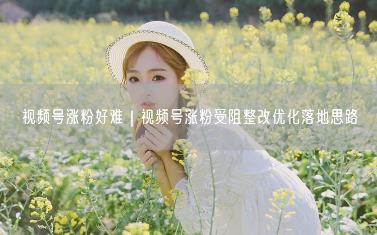 视频号涨粉好难｜视频号涨粉受阻整改优化落地思路