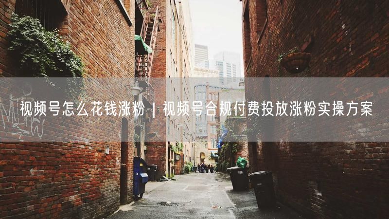 视频号怎么花钱涨粉｜视频号合规付费投放涨粉实操方案