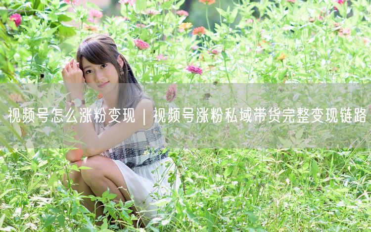 视频号怎么涨粉变现|视频号涨粉私域带货完整变现链路