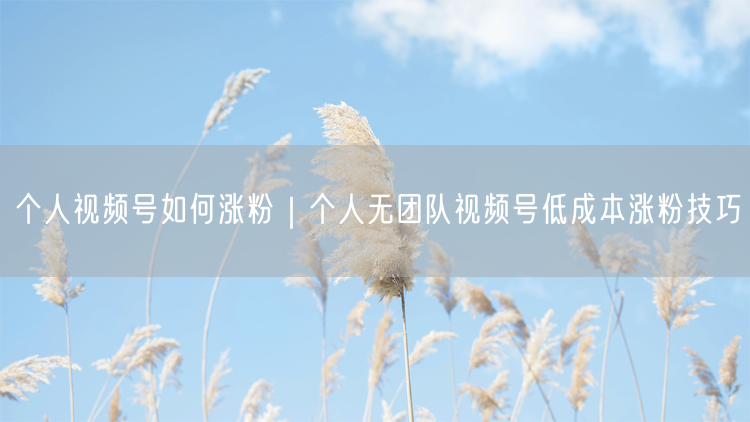 个人视频号如何涨粉|个人无团队视频号低成本涨粉技巧