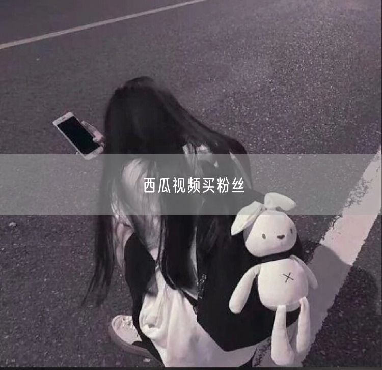 西瓜视频买粉丝
