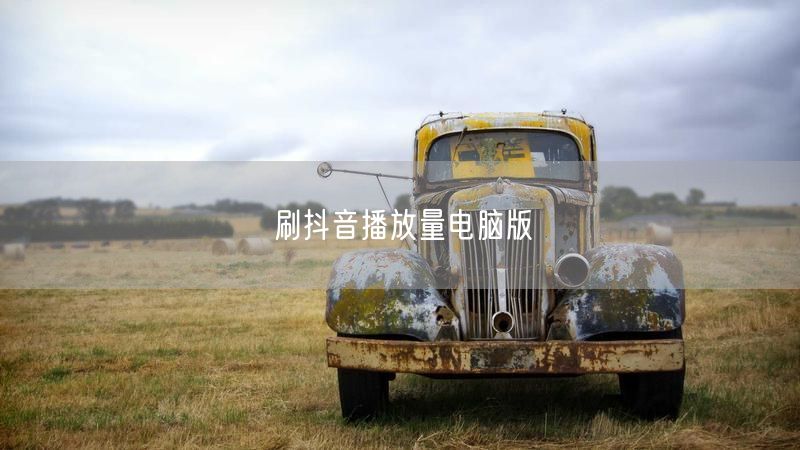 刷抖音播放量电脑版