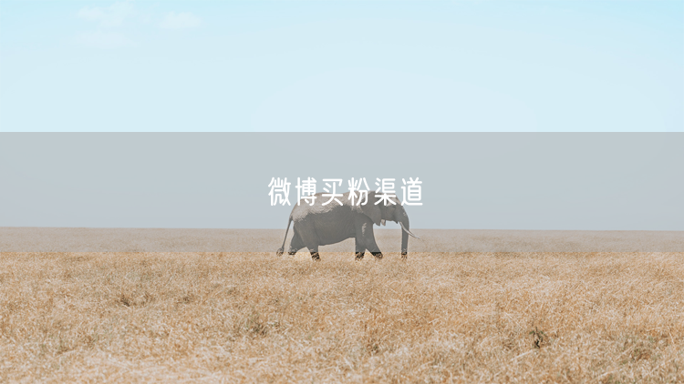 微博买粉渠道
