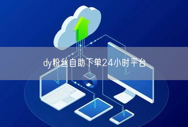 dy粉丝自助下单24小时平台