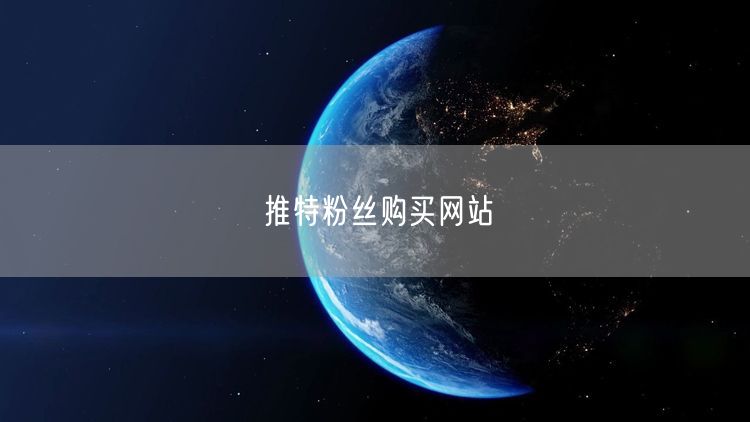 推特粉丝购买网站