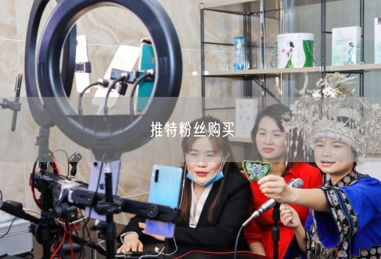 推特粉丝购买